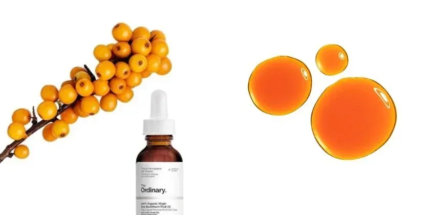 Super ingredient for your skin - sea buckthorn